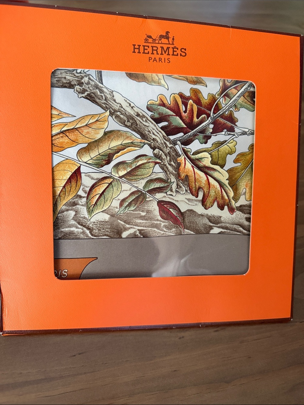 Hermes Autumn Leaves Silk Scarf - Orange, Brown, Green